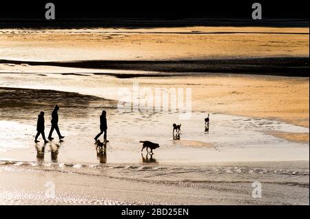 Les gens marchent avec leurs chiens sur la plage de Porth à marée basse silhouetted par le soleil couchant à Newquay dans Cornwall. Banque D'Images