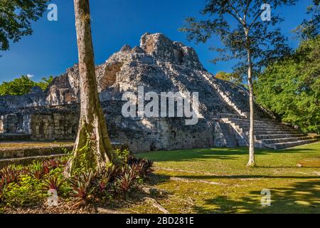 Structure Structure X (10), Maya ruines à Becan site archéologique, la Ruta Rio Bec, péninsule du Yucatan, Mexique, État de Campeche Banque D'Images