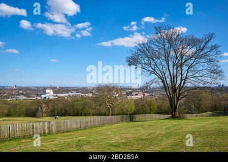 Vue sur le nord de Londres, au Royaume-Uni, depuis Alexandra Park, au printemps Banque D'Images