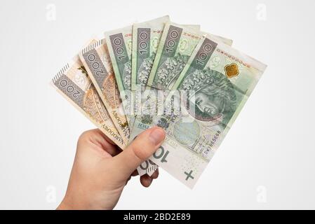 Billets de banque en PLN. Monnaie zloty polonaise, concept de salaire ou de prêt, isolée à la main Banque D'Images