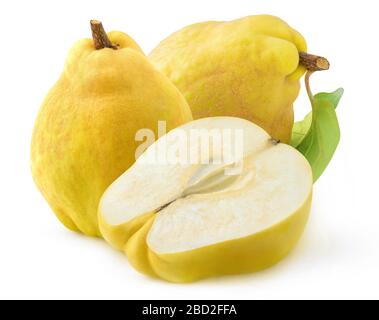 Coing isolé. Deux fruits de coing entiers avec des feuilles et une moitié isolés sur fond blanc Banque D'Images