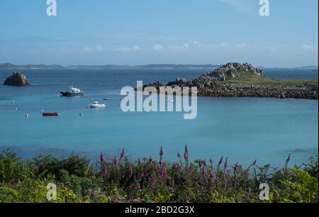 Le port de Porth Conger est situé au large de l'île Scillonienne de St Agnes, avec l'île Gugh sur la droite Banque D'Images