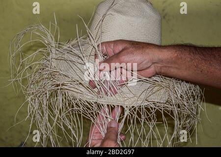 Tissage d'un chapeau tranditionnel fait à la main en Équateur. Banque D'Images