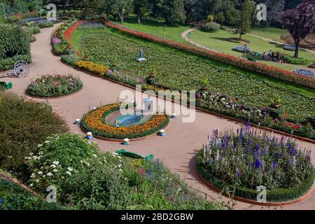 26 octobre 2009 le jardin botanique du gouvernement à Udhagamandalam Ooty a été aménagé en 1847 par le marquis de Tweeddale ; Tamil Nadu ; Inde Banque D'Images