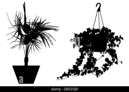 Illustration de différentes fleurs dans des pots isolés sur blanc Banque D'Images