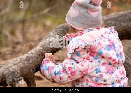 Gros plan d'une fille caucasienne en vêtements chauds touchant l'écorce rugueuse d'une branche d'un pin au début du printemps en mars en Allemagne Banque D'Images