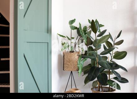 Intérieur moderne du salon avec des plantes vertes et une porte coulissante verte. Design moderne et rétro Banque D'Images