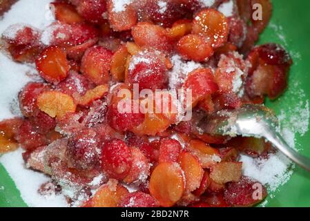 Prune de cerisier mûre pour la marmelade Banque D'Images