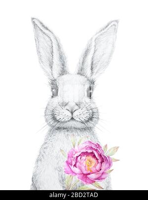 Joli lapin. Lapin de Pâques. Dessin au crayon. Décoration aux fleurs d'eau. Décoration pour enfants. Animal forestier. Fond blanc Banque D'Images