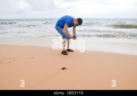 Brunette gars avec caméra marchant le long de la plage. Un jeune couple heureux tenant les tortues à la main, des volontaires sur la rive sauveront et libèrent les tortues dans l'océan. Se Banque D'Images