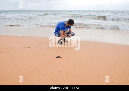 Brunette gars avec caméra marchant le long de la plage. Un jeune couple heureux tenant les tortues à la main, des volontaires sur la rive sauveront et libèrent les tortues dans l'océan. Se Banque D'Images