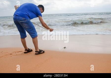 Brunette gars avec caméra marchant le long de la plage. Un jeune couple heureux tenant les tortues à la main, des volontaires sur la rive sauveront et libèrent les tortues dans l'océan. Se Banque D'Images