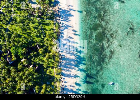 Vue aérienne, plage idyllique de palmiers, hôtel de luxe la Pirogue Resort & Spa, Flic en Flac, Ile Maurice Banque D'Images