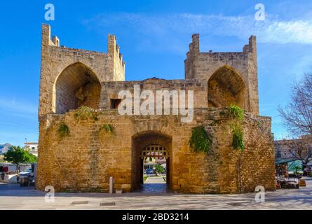 Porte Ville Porta del Moll, Alcudia, région de Raiguer, Majorque, Iles Baléares, Espagne Banque D'Images