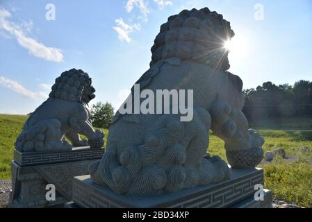 Lions gardiens chinois placés à l'entrée du temple - rétro-éclairé Banque D'Images