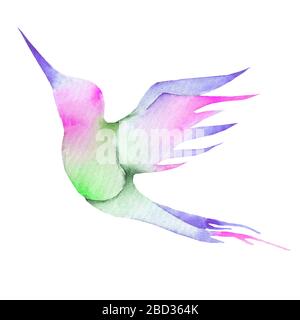 Hummingbird, peinture aux aquarelles rose bleu violet vert Banque D'Images