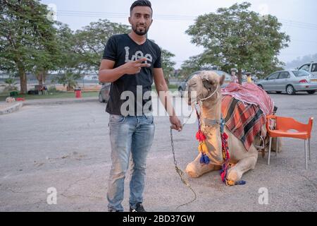 Un jeune homme, probablement palestinien, vend des promenades à dos de chameau sur une route en Israël, juste au nord de Jérusalem. Banque D'Images