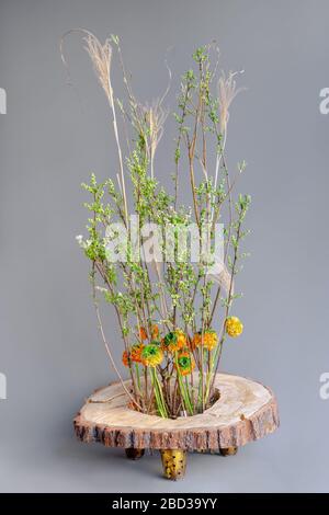 Arrangement floristique de printemps avec des buttertasses jaunes, des brindilles d'arbres à fleurs et des roseaux secs sur un cercle de tranches de bois naturel avec disques de bois d'écorce d'arbre Banque D'Images