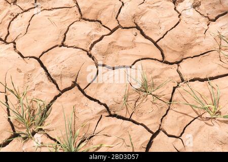 Textures dans le sol aride m'Hamid El Ghizlane ou Lamhamid Ghozlane est une petite ville oasis dans la province de Zagora, Drâa-Tafilalet au Maroc, en Afrique. Banque D'Images