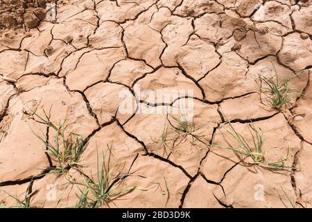 Textures dans le sol aride m'Hamid El Ghizlane ou Lamhamid Ghozlane est une petite ville oasis dans la province de Zagora, Drâa-Tafilalet au Maroc, en Afrique. Banque D'Images