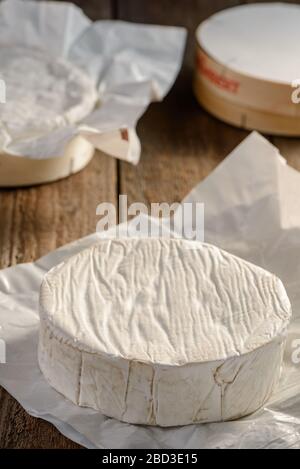 Gros plan sur une roue de fromage Camembert entière juste de la boîte Banque D'Images