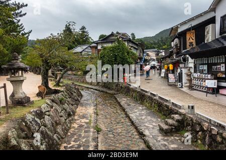 Vue pittoresque sur l'île de Miyajima avec une petite rivière, des maisons en bois typiques et un cerf libre. Miyajima, Japon, août 2019 Banque D'Images