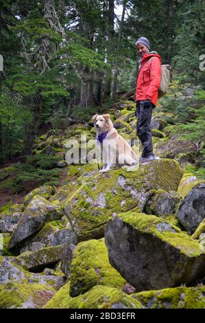 Randonneur et chien moelleux debout sur des rochers mousseux dans les montagnes Banque D'Images