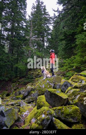 Randonneur et chien moelleux debout sur des rochers mousseux dans les montagnes Banque D'Images