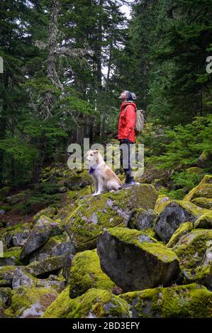 Randonneur et chien moelleux debout sur des rochers mousseux dans les montagnes Banque D'Images