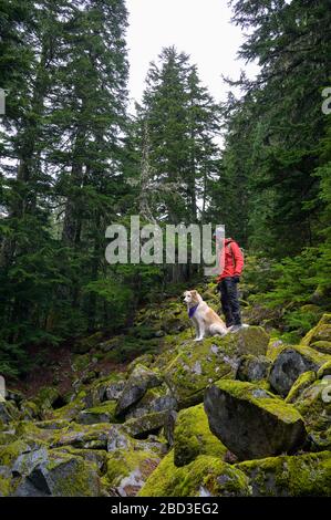 Randonneur et chien moelleux debout sur des rochers mousseux dans les montagnes Banque D'Images