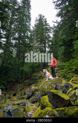 Randonneur et chien moelleux debout sur des rochers mousseux dans les montagnes Banque D'Images