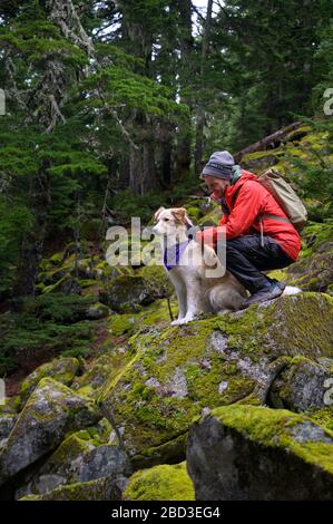 Randonneur et chien moelleux debout sur des rochers mousseux dans les montagnes Banque D'Images