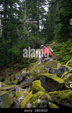 Randonneur et chien moelleux debout sur des rochers mousseux dans les montagnes Banque D'Images