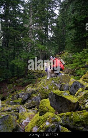 Randonneur et chien moelleux debout sur des rochers mousseux dans les montagnes Banque D'Images