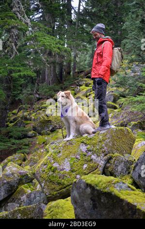 Randonneur et chien moelleux debout sur des rochers mousseux dans les montagnes Banque D'Images