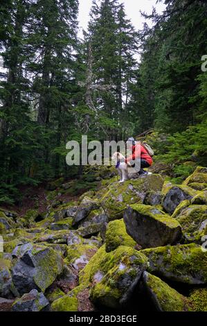 Randonneur et chien moelleux debout sur des rochers mousseux dans les montagnes Banque D'Images