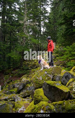 Randonneur et chien moelleux debout sur des rochers mousseux dans les montagnes Banque D'Images