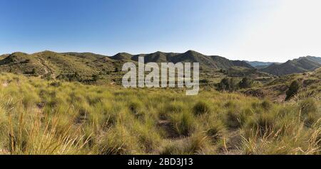 Paysage à la font del Llop, municipalité de Monforte del Cid, Alicante Espagne. Banque D'Images