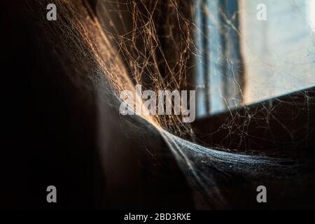 toile de araignée dans un coin sombre de la vieille maison Banque D'Images