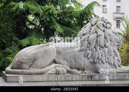 Lion à l'extérieur de la Vancouver Art Gallery, Vancouver (Colombie-Britannique), Canada, Amérique du Nord Banque D'Images