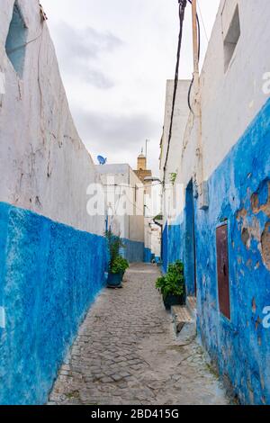 Vider la rue bleue et blanche dans la Kasbah des Udayas à Rabat au Maroc Banque D'Images