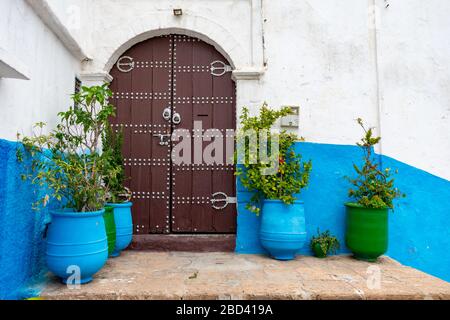 Portes doubles et plantes dans la Kasbah bleue des Udayas à Rabat au Maroc Banque D'Images