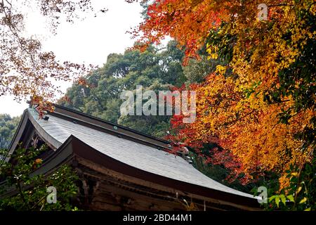 Sanctuaire japonais entouré d'arbres colorés Banque D'Images