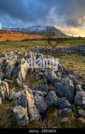 Southerscales dans le parc national du Yorkshire Dales. Banque D'Images