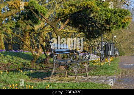 Banc dans le parc de la ville eupéenne, Stettin, Szczecin Banque D'Images