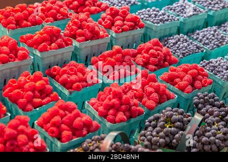 Variété de fruits frais à vendre sur un stand de fruits du Sud du marché du Saint-Laurent, Toronto, Canada Banque D'Images