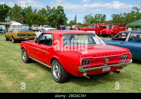 Rouge vif 1968 Ford Mustang V8 première génération Hardtop coupé. Banque D'Images