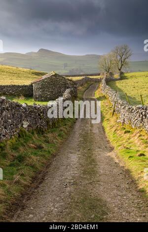 Scar Lane de chèvre dans le parc national du Yorkshire Dales avec Smearsett et Pot Scars dans la distance. Banque D'Images