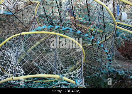 Crabes sur le quai, Camber Dock, Old Portsmouth, Hampshire, Angleterre, Royaume-Uni Banque D'Images