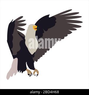 Mignon animal aigle clip art oiseau illustration personnage de dessin animé Illustration de Vecteur